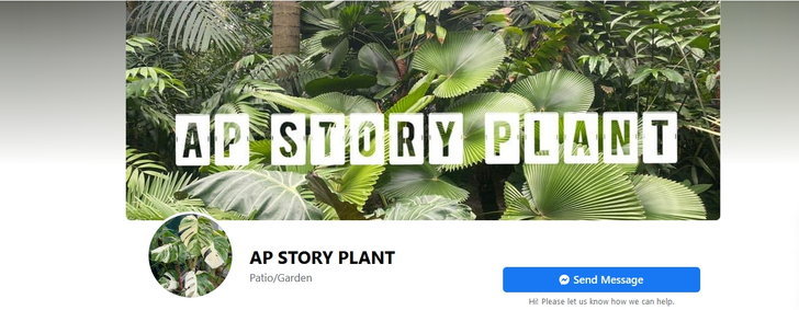 อาร์ต พศุตม์ เปิดเพจ Ap Story Plant การันตีต้นไม้เทพทุกต้น | The 1 Today |  The 1 Today