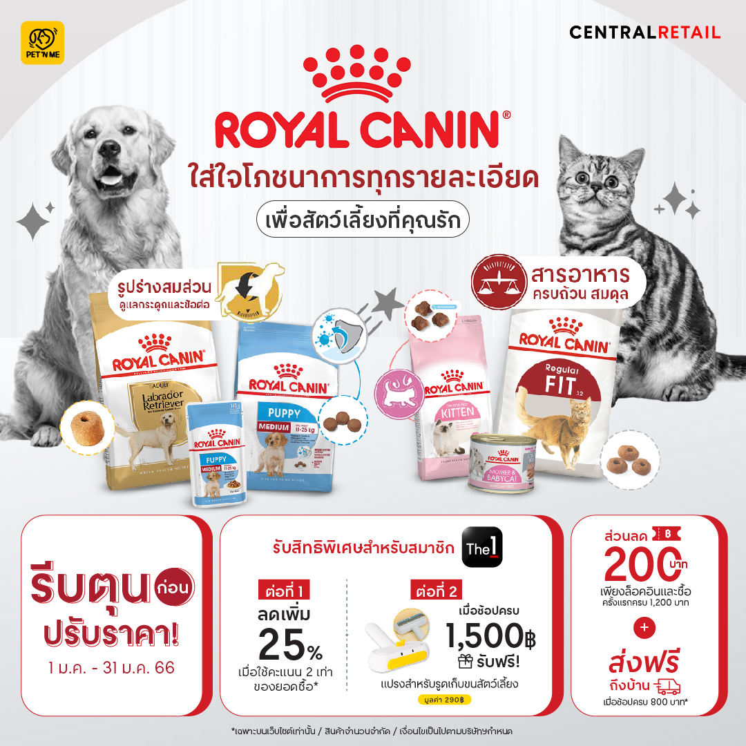 Royal canin promo new arrivals