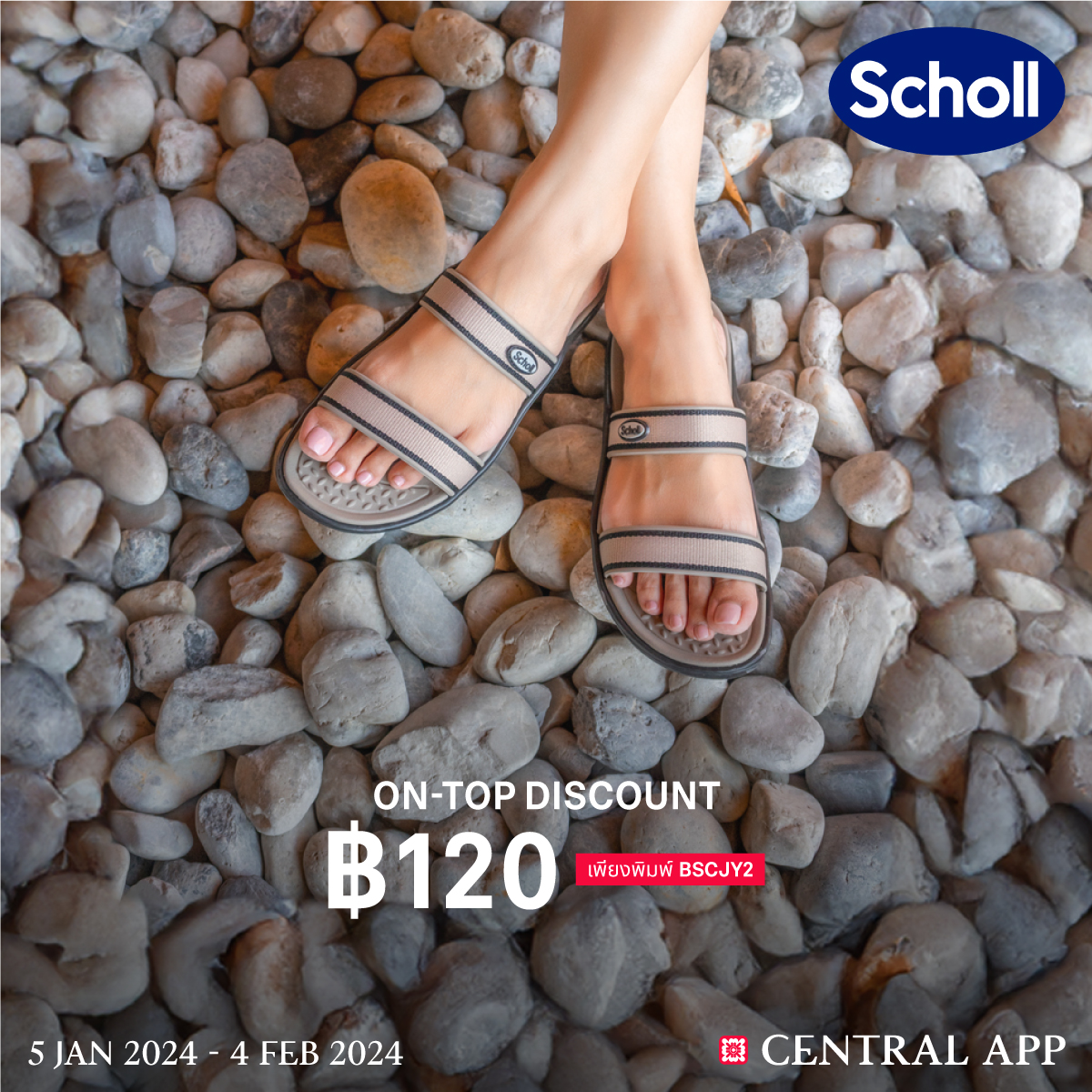 Scholl discount on sale